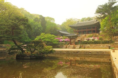 changdeokgung palace secret garden tour